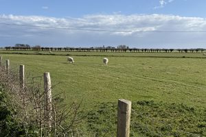 Photo 19- click for photo gallery